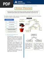 1° Reino Plantae Caracteristicas y Clasificación GT PDF