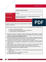 Proyecto de Práctica II - Investigación Organizacional - Entrega01