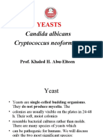 Lecture7 Medical Mycology - Yeasts