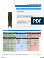 PLG chart-PremiumBridgePlug PDF