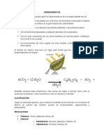 CARBOHIDRATOS Monografia