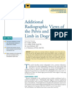 Grupo A Additional Radiografic View of The Pelvic Limb in Dog PDF