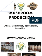 Mushroom Production: DARCES, Manambulan, Tugbok District, Davao City