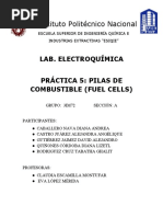 Práctica 5. - Pilas de Combustible (Fuel Cells)