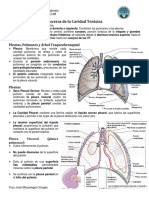 Vísceras Tórax, Pleuras, Pulmones, Mediastino y Pericardio