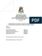 Informe Succión y Absorción Ladrillo GRUPO 1