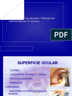 Tema 5. Clase Parpado y lagrimalPDF