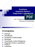 Amebiase 2006