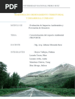 Informe Grupal - Aspecto Ambiental - Provisur