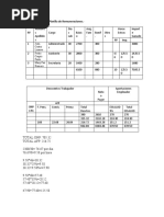 Rayado de La Planilla de Remuneraciones