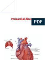 Pericardium PDF