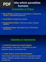 Helminths Which Parasitise Humans