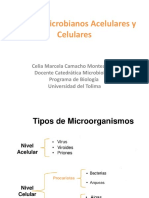 Grupos Microbianos Acelulares y Celulares