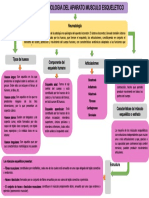 Anatomia y Fisiologia Del Aparato Musculo Esqueletico