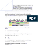 Continuidad: El Antepasado Común de La Vida