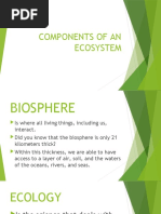 Components of An Ecosystem