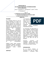 INFORME No 5