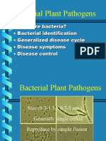 Bacterial Plant Pathogens