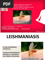 Leishmaniasis 2020 