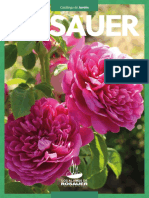 Rosas 2019 PDF