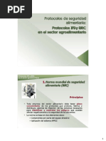 Clases - Seguridad e Inocuidad - 4clase - 4 - BRC Ed6-1573480027 PDF