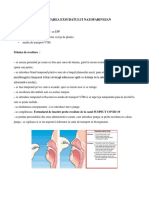 Instructiuni de Recoltare Exsudat Nazofaringian Si Faringian