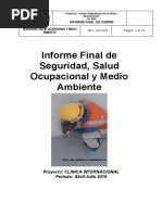 Inspecciones Informe Final