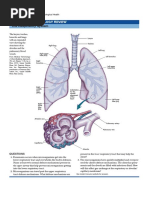 The Respiratory System: Anatomy & Physiology Review