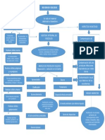 Mapa Conceptual