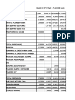 Hoja de Flujo de Caja Practica Dirigida