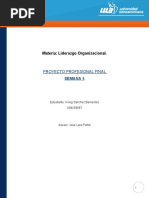 Liderazgo Organizacional v3 Ula