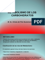 IV-V-CARBOHIDRATOS (Autoguardado)