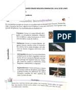 Tarea Animales Invertebrados