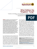 What Defines The Kingdom Fungi