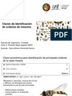 07 - Claves de Identificación de Insectos-Fusionado PDF