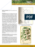 Pata de Vaca PDF