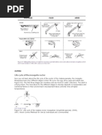 Culex Aedes e Anofeles