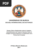 María Maestre Maderuelo Tesis Doctoral PDF