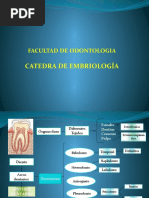 Sistema Dentario