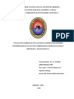 Evaluación Ambiental de Los Pasivos Ambientales Mineros Determinados en El Sector Comprendido Entre Pacococha y Buenavista - Huancavelica PDF