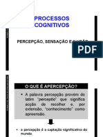 Processos Cognitivos: A Percepção