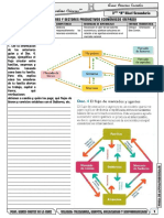 Ficha de Actividad Practica 3ero Sec 15 Julio