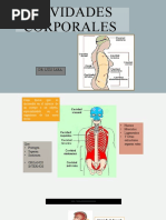 Cavidades Corporales Parte 1