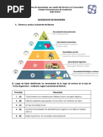 Jerarquización de Necesidades PDF