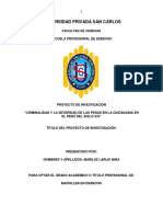 "Criminalidad y La Severidad de Las Penas en La Ciudadania en El Perú Del Siglo Xxi" PDF