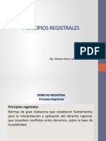 PRINCIPIOSREGISTRALES