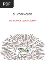 GLUCOGENOLISIS