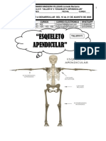 Taller Óseo 0720 3