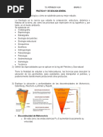 Tarea 1 Geol - Gral