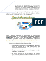 Tipos de Organizaciones PDF